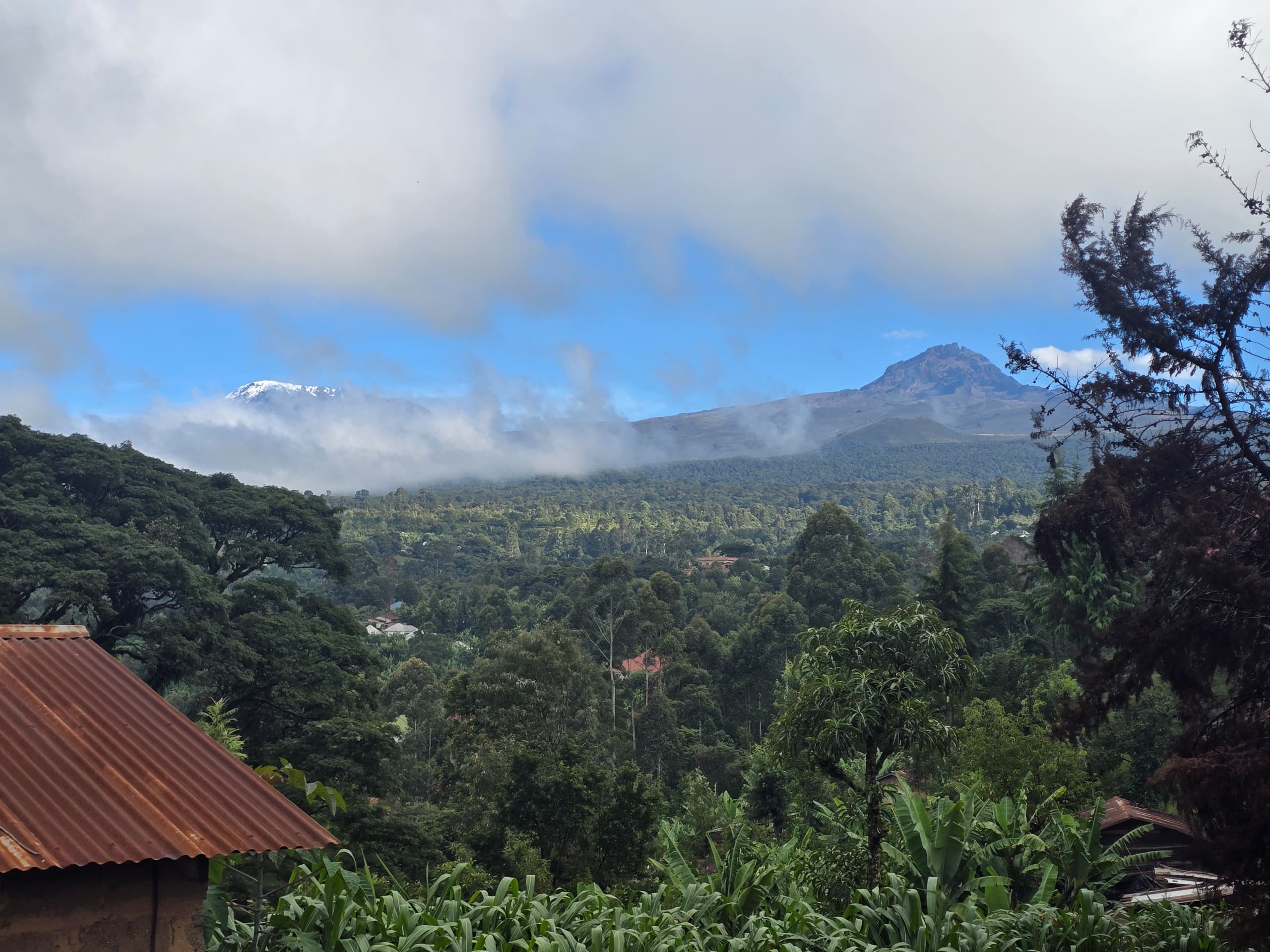 Mount Kilimanjaro peaks