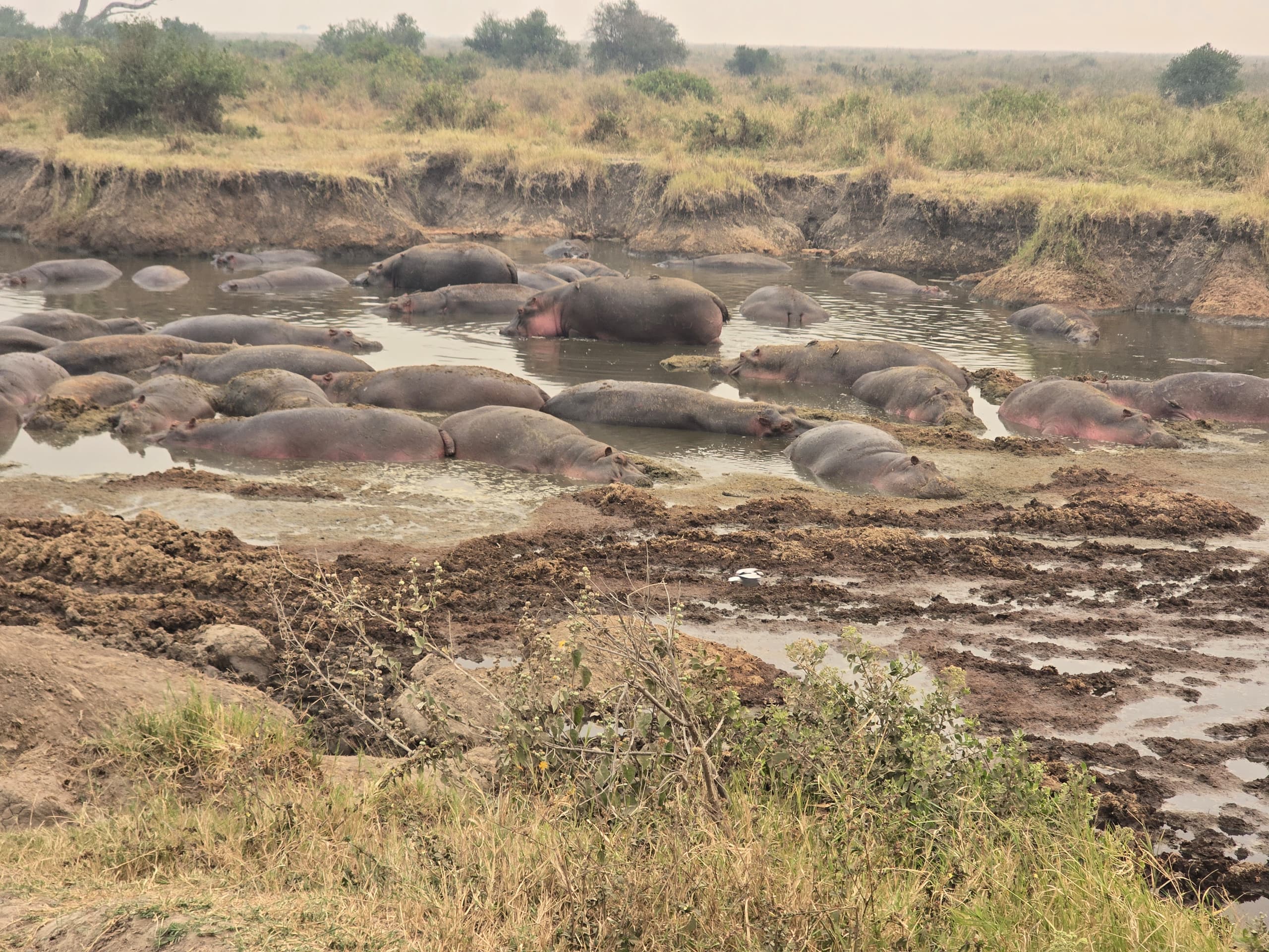 Lake Manyara National Park