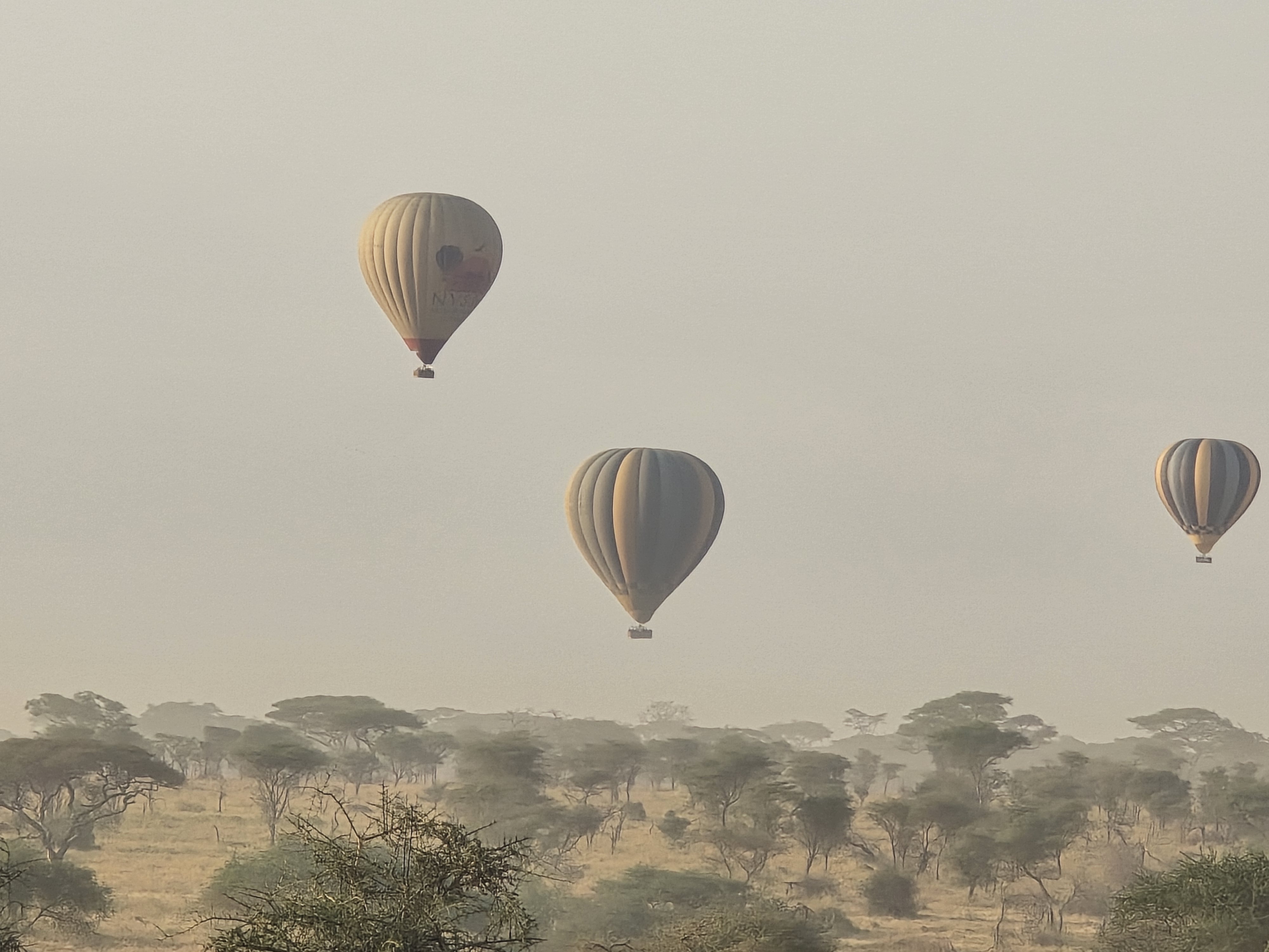 Serengeti balloon safari at sunrise