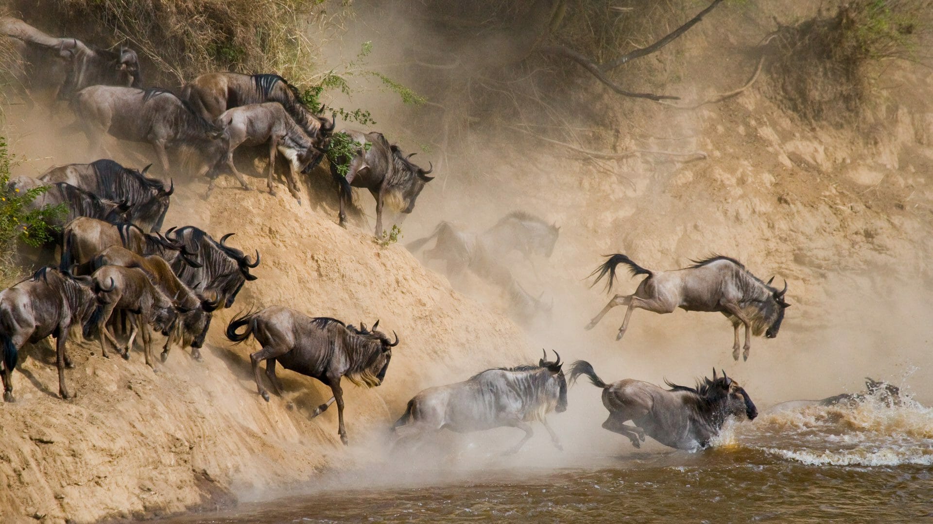 Serengeti